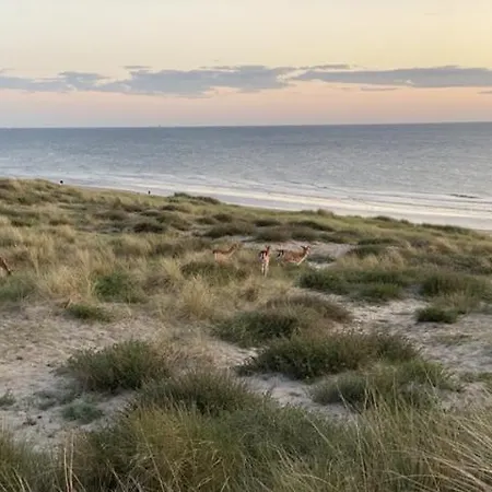 Blue Fish Appartement Zandvoort