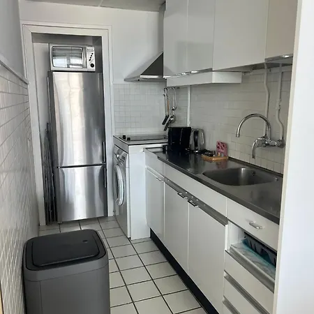 Blue Fish * Zandvoort