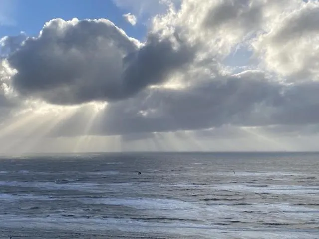 Appartement Blue Fish