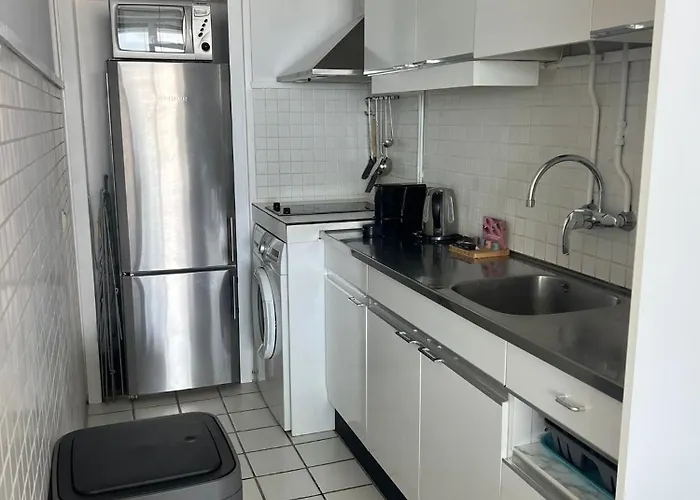 Blue Fish * Zandvoort