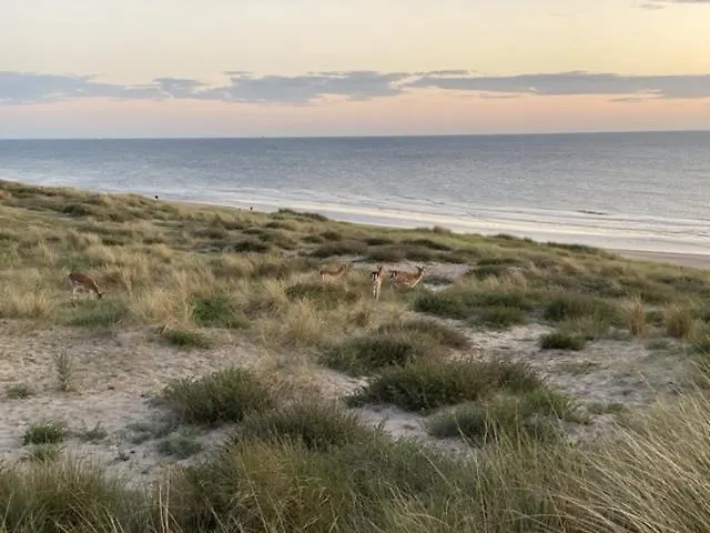 Blue Fish Lägenhet Zandvoort